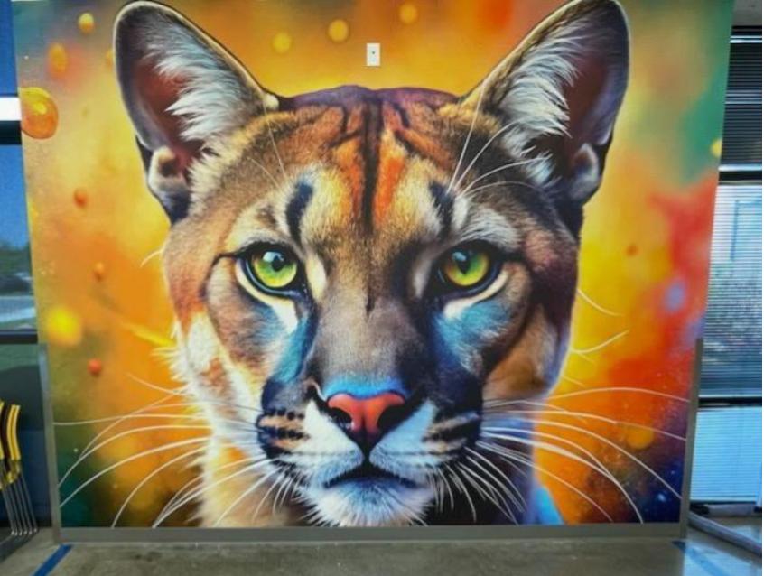 Custom Wallpaper Solutions & Custom Vinyl Graphics